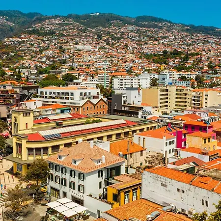 Flh Viola Market